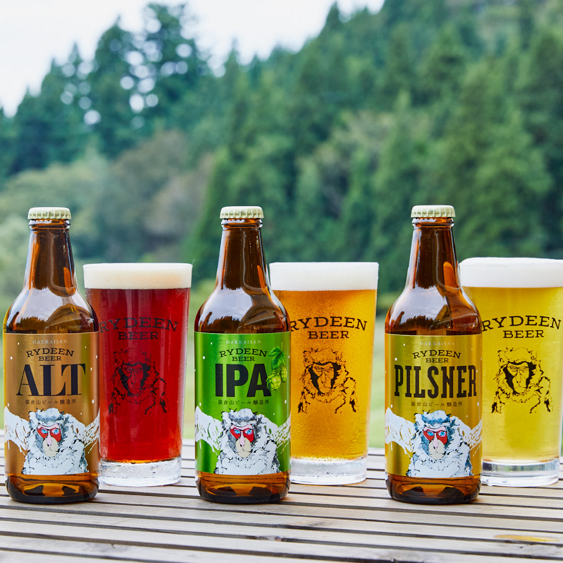 【選べるギフト】豪華ライディーンビール12本セット(箱代583円+商品代)