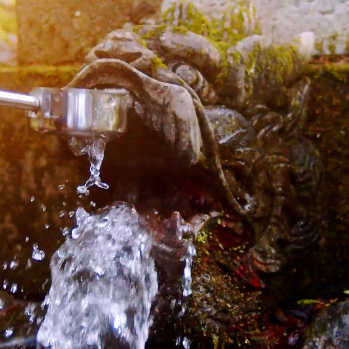 【選べるギフト】ライディーンビール6本セット(箱代198円+商品代)