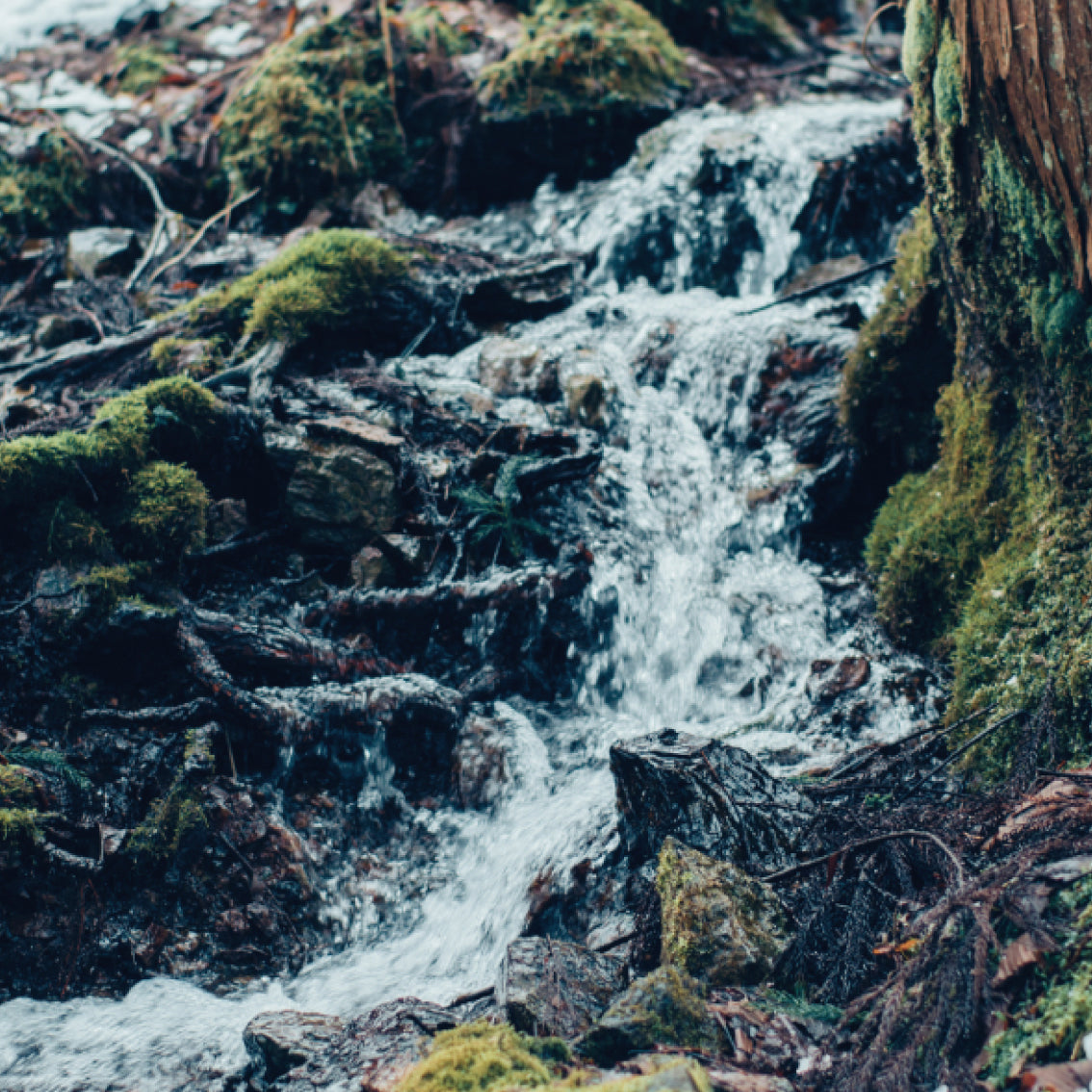 【ギフトラッピング付】reintプレミアムケアフェイスマスク5点セット