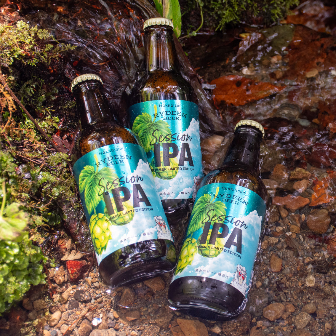 【夏季限定】ライディーンビール セッション IPA